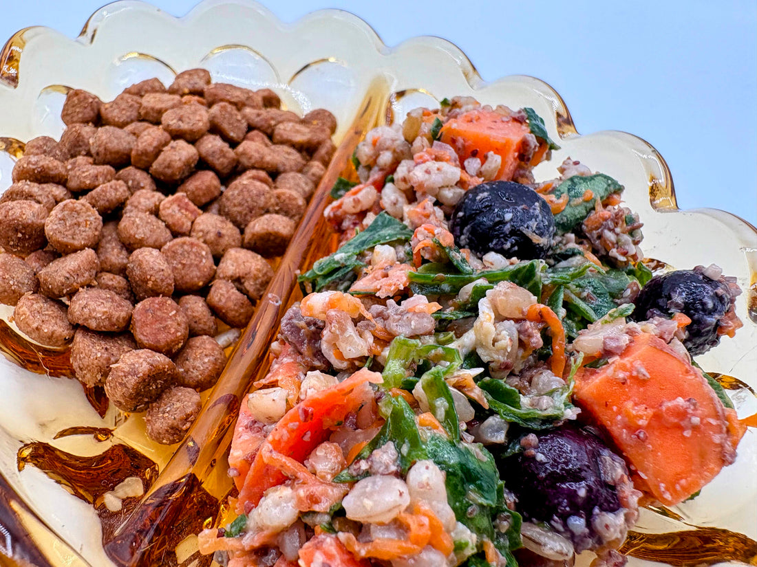 How to Introduce New Foods to Your Dog or Cat